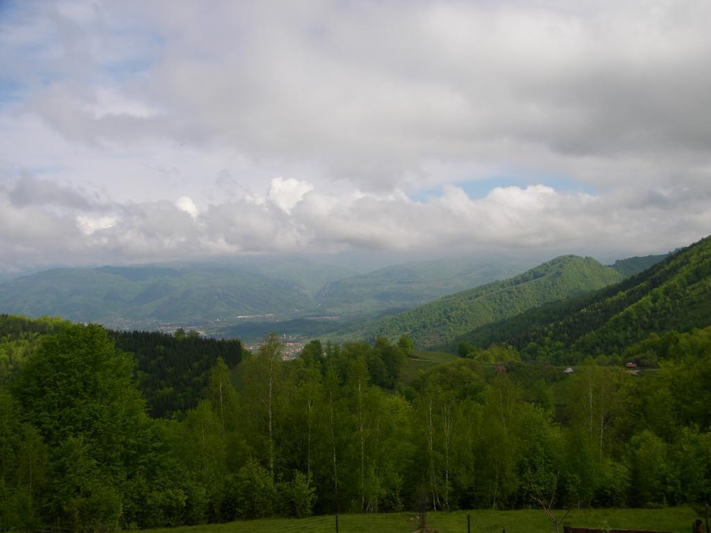 Vi La Ski Petroşani Exterior foto